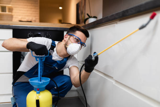 Reliable Woodland Park, CO Pest Control Solutions