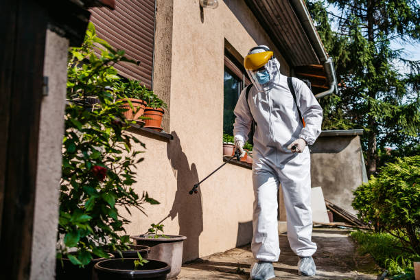 Best Wildlife Control Services  in Woodland Park, CO