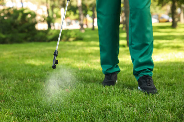 Best Pest Prevention Services  in Woodland Park, CO