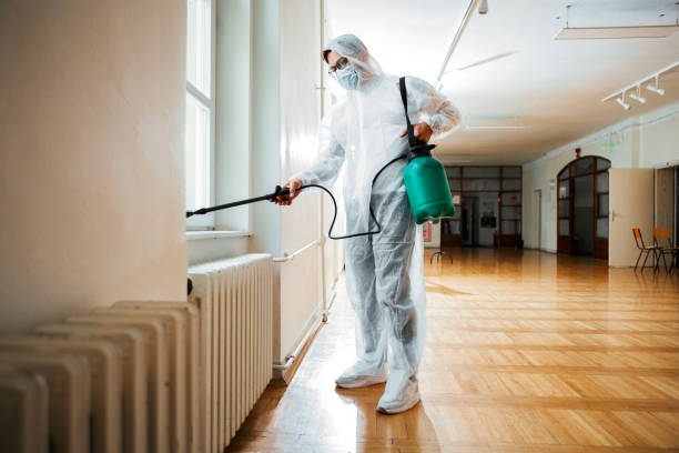 Best Pest Prevention Services  in Woodland Park, CO
